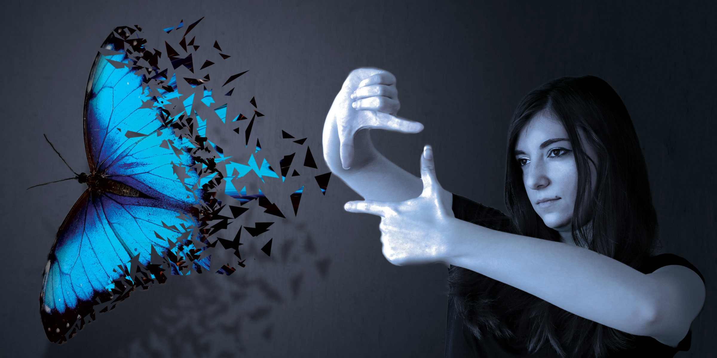 Shattered Butterfly Header