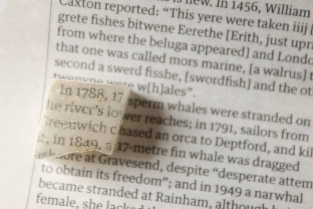 Photography: Lighting