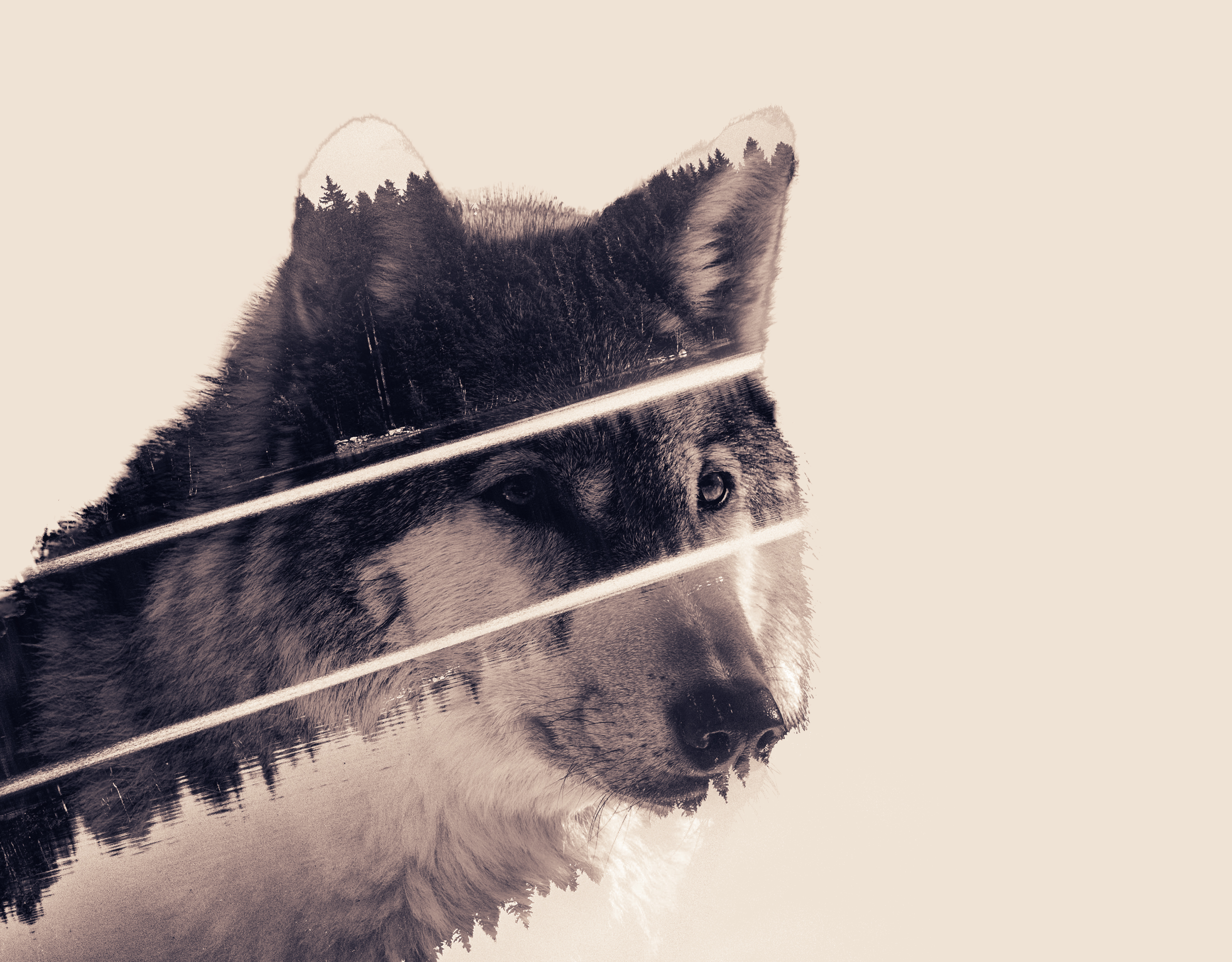 Double Exposure