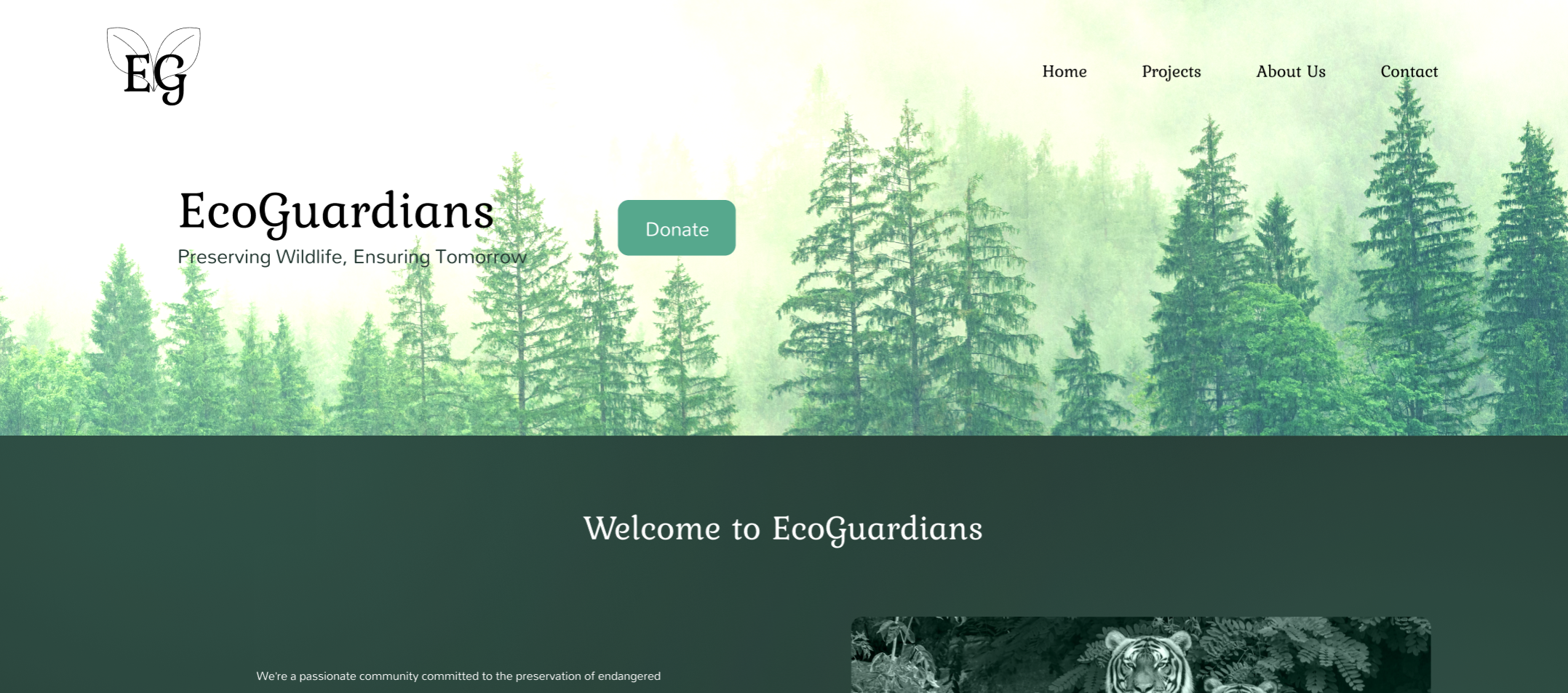 Wildlife Preservation: Figma